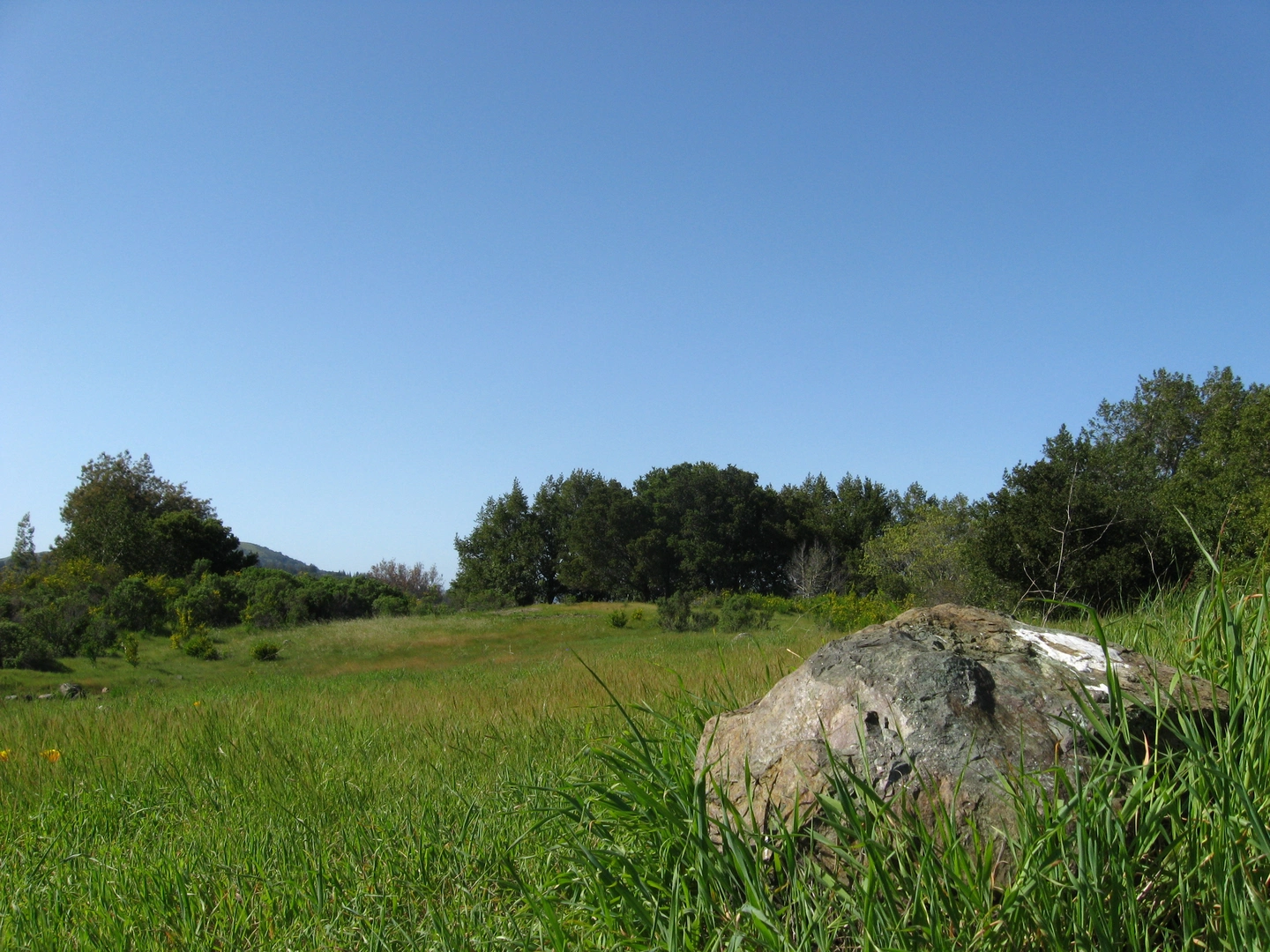An image depicting the trail King Mountain Loop Trail and its surrounding area.