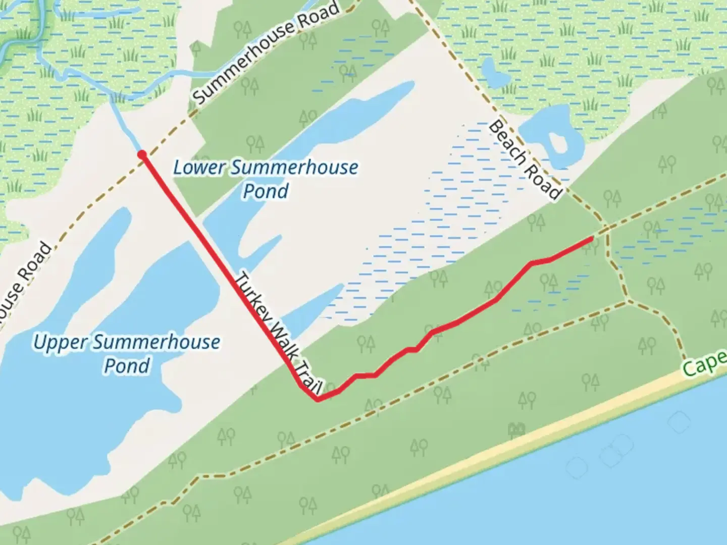 An image depicting the trail Turkey Walk Trail and its surrounding area.