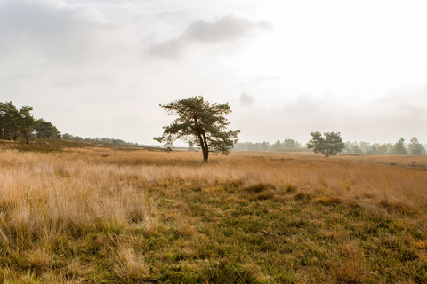 Amersfoortseweg and Flevoweg Loop