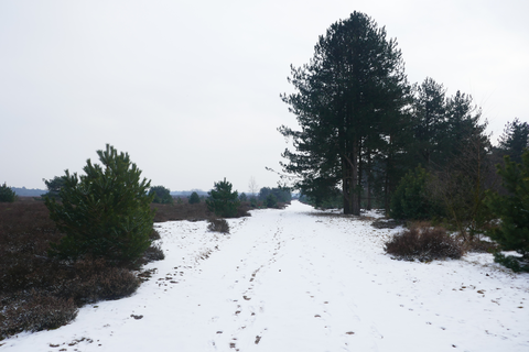 De Quayweg, Visdelweg, Ripseweg and Kruisbergtaan Loop