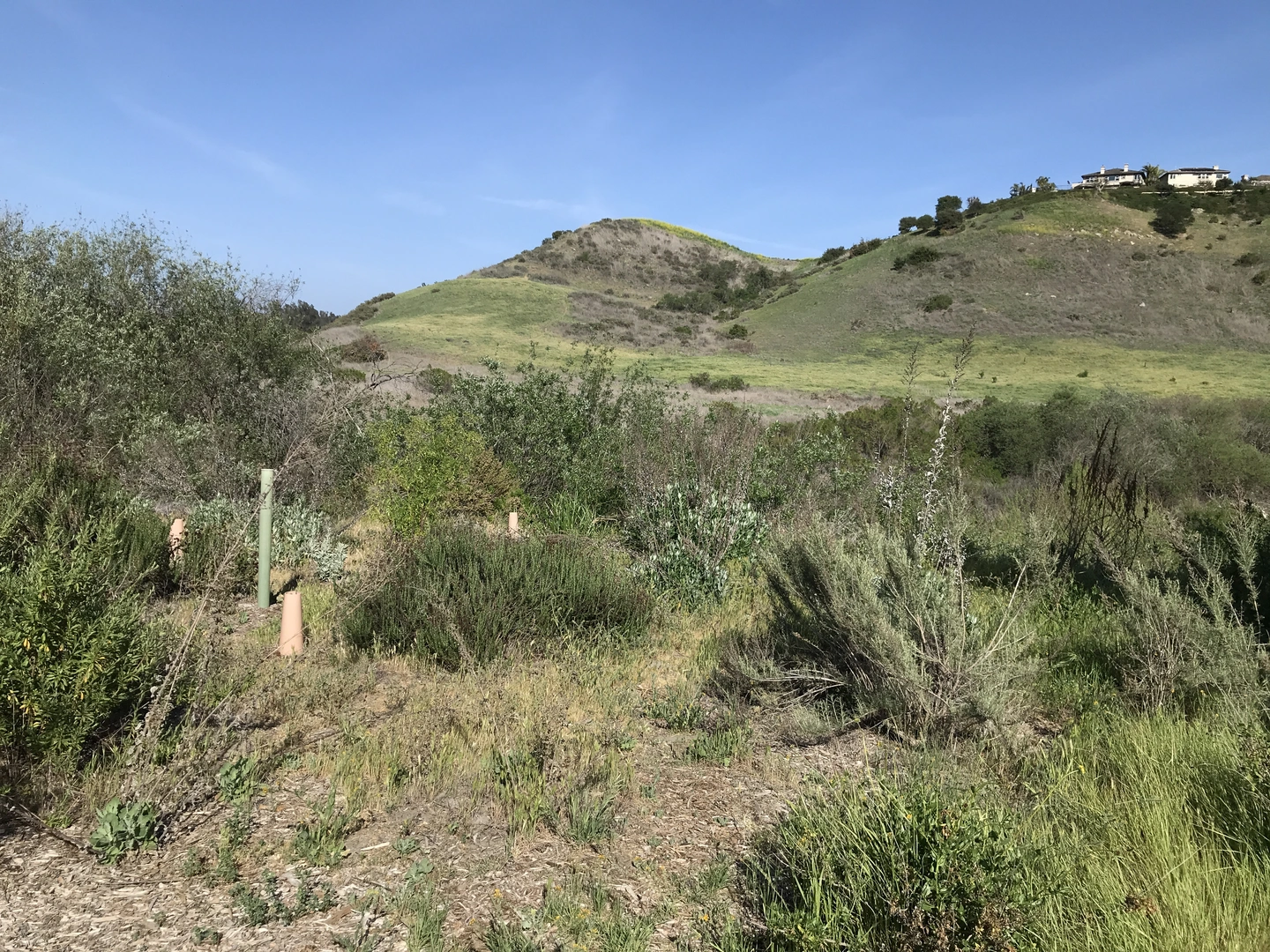 An image depicting the trail Lynx Trail via West Ridge Trail and its surrounding area.