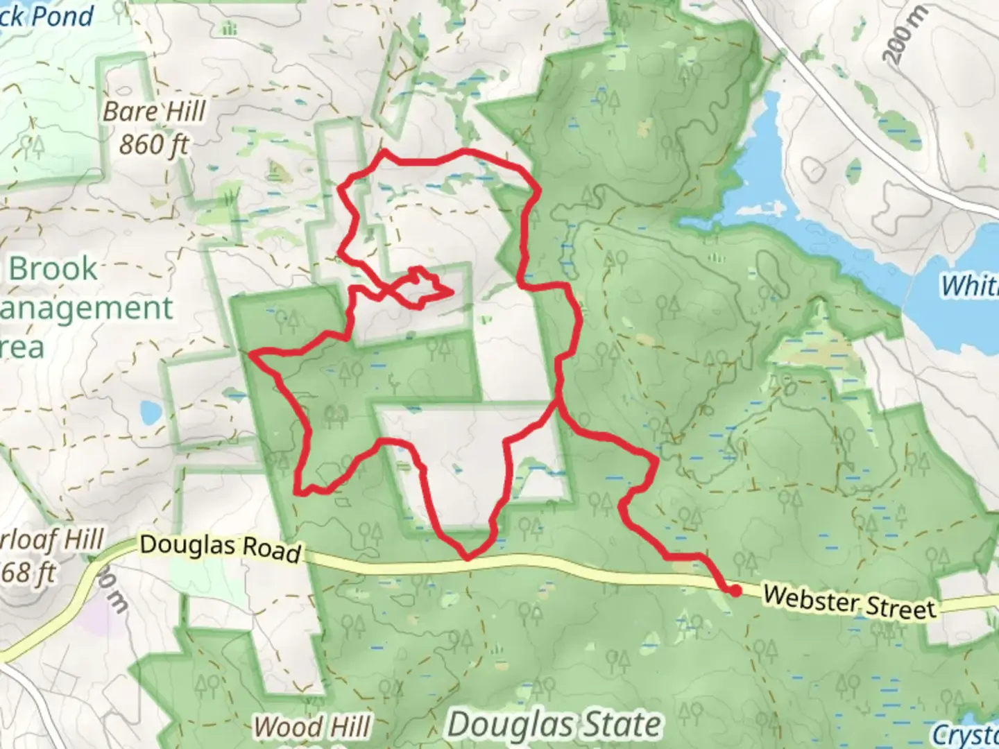 An image depicting the trail Mine Brook Wildlife Management Area Loop via Midstate Trail and its surrounding area.