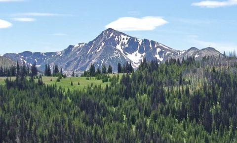 An image depicting the trail Deer Park Trail via Albert Camp Trail and its surrounding area.