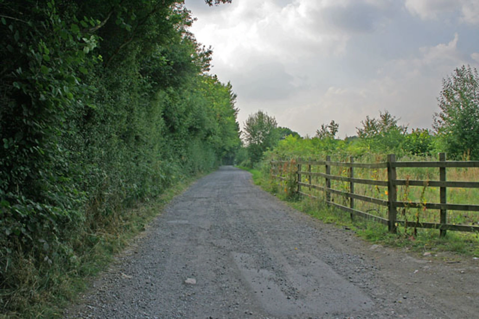 An image depicting the trail Stoneywell Wood National Trust Loop and its surrounding area.