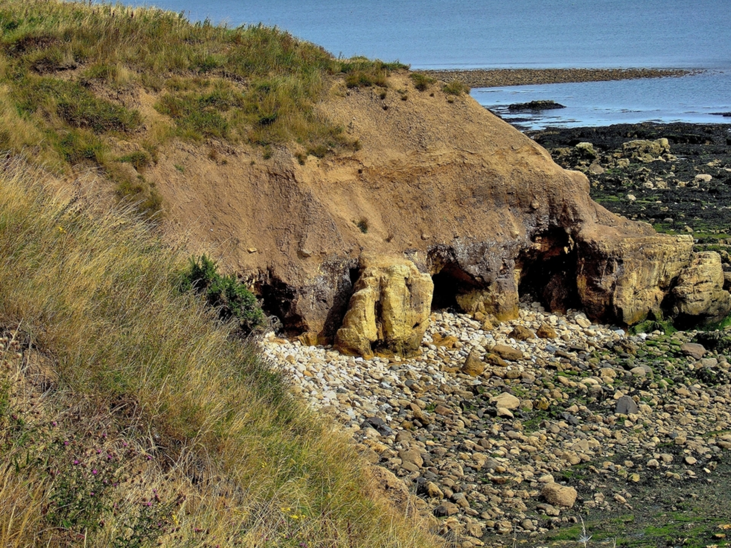 An image depicting the trail Way of Learning and its surrounding area.