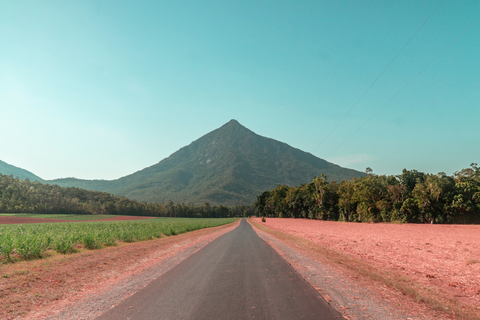 Mount Walshs Pyramid Track