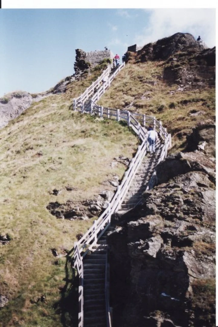 An image depicting the trail Tintagel Loop and its surrounding area.