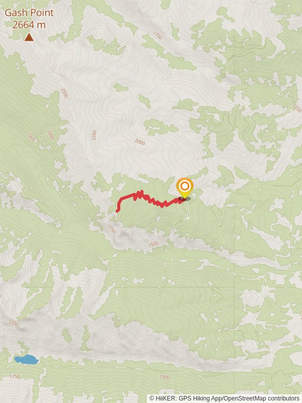 Bear Creek Overlook Trail from Bear Creek Overlook Trail Road