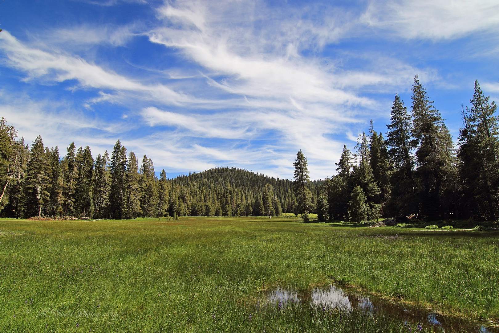 An image depicting the trail Henness Pass Road Loop - North and its surrounding area.