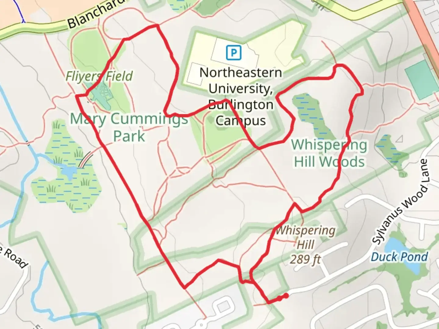 An image depicting the trail Mary Cummings Park Loop Trail and its surrounding area.