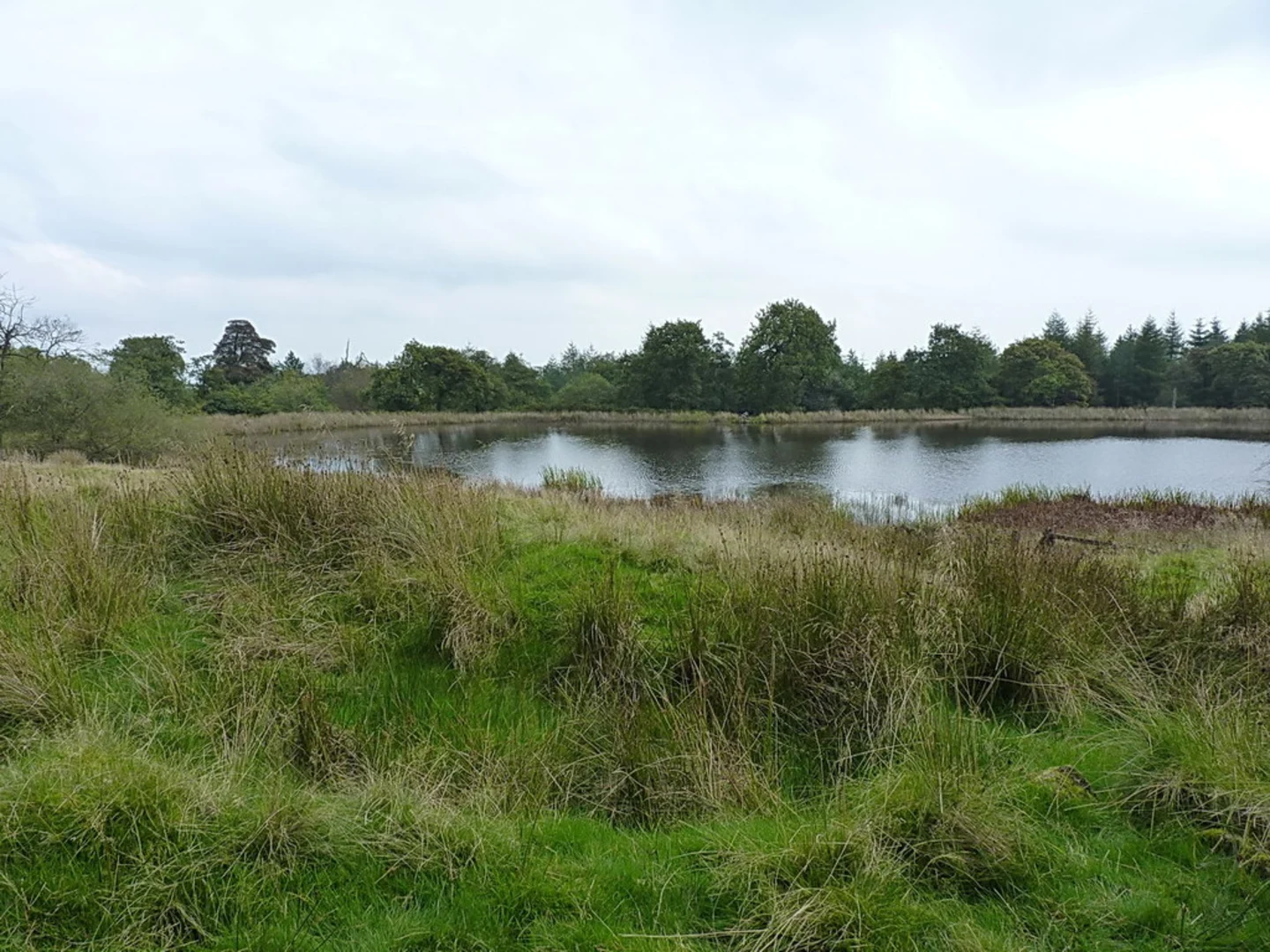 An image depicting the trail The Game Covert and Burwarton Park Loop and its surrounding area.