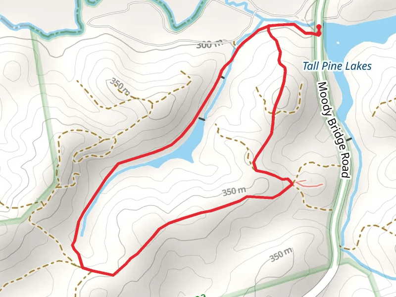 Tall Pine Lakes Overlook Loop