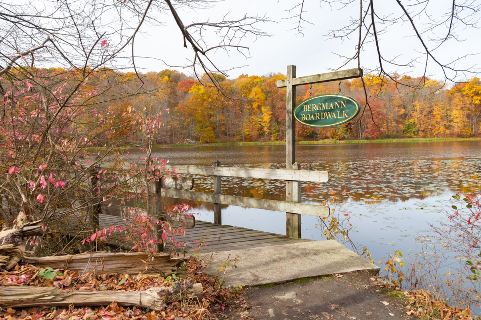 An image depicting the trail Vernay Lake Shadow Lake and its surrounding area.