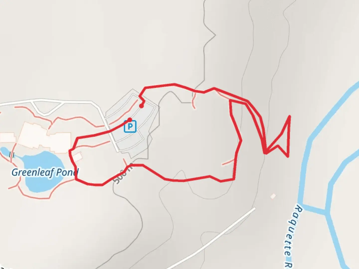 An image depicting the trail Greenleaf Pond East Loop and its surrounding area.