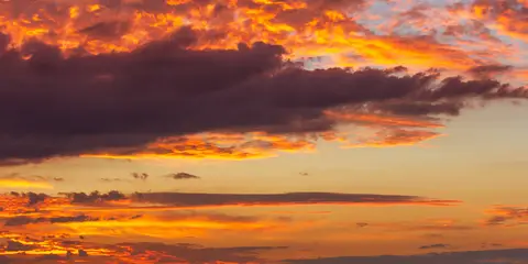 An image depicting the trail Congewai East Track and its surrounding area.