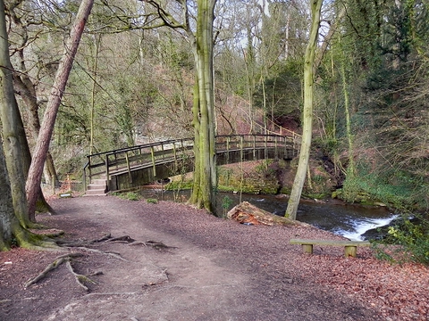 An image depicting the trail River Bollin and Northern Wood Loop and its surrounding area.