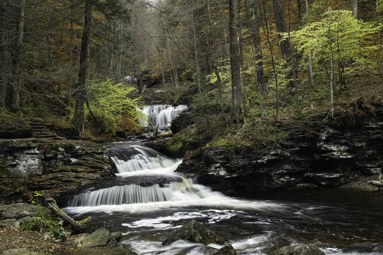 Falls Trail and Highland Trail Loop