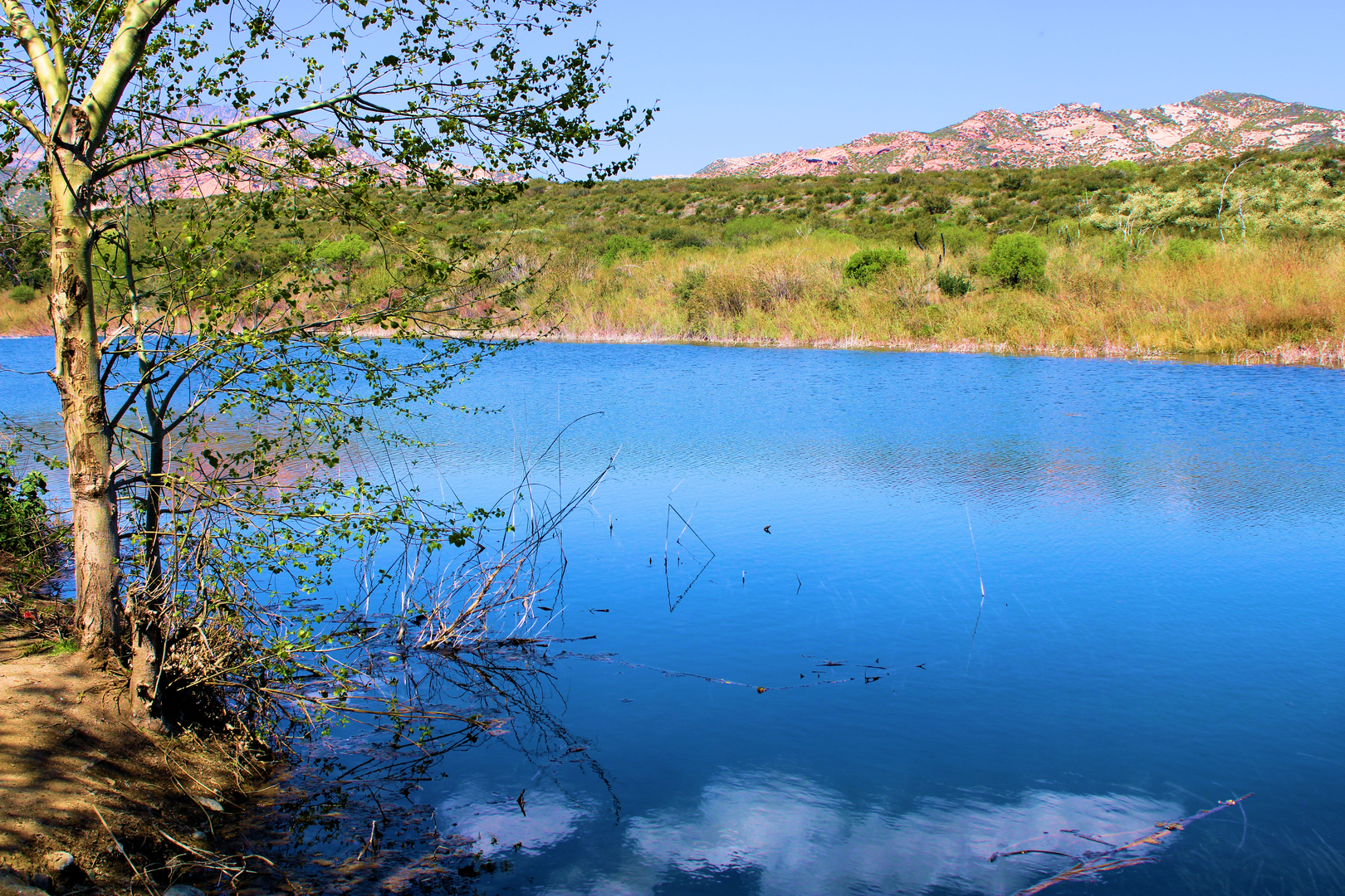 An image depicting the trail Lost Lake via Rubicon Trail and its surrounding area.