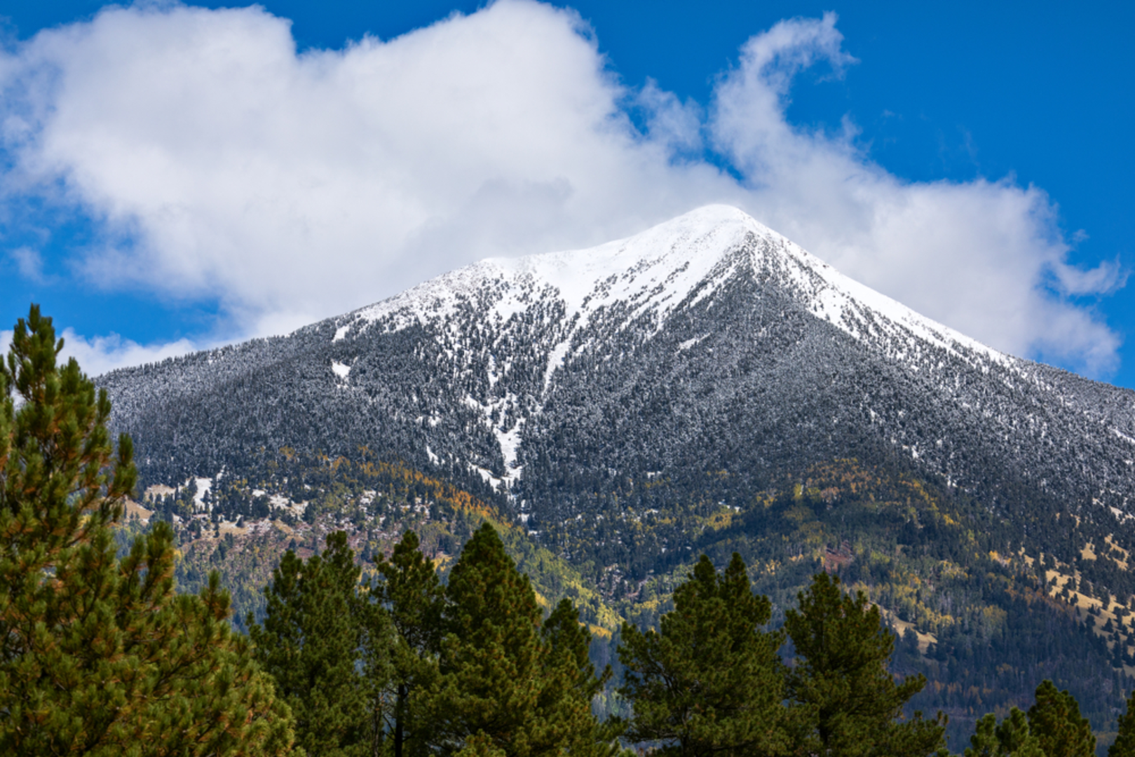 An image depicting the trail Weatherford Trail and its surrounding area.