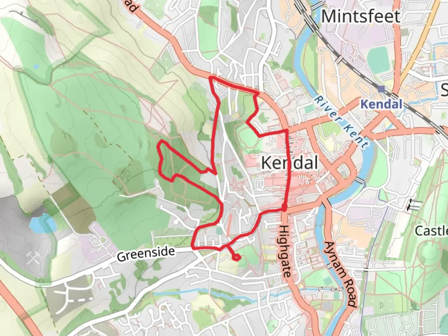 An image depicting the trail Serpentine Wood and its surrounding area.