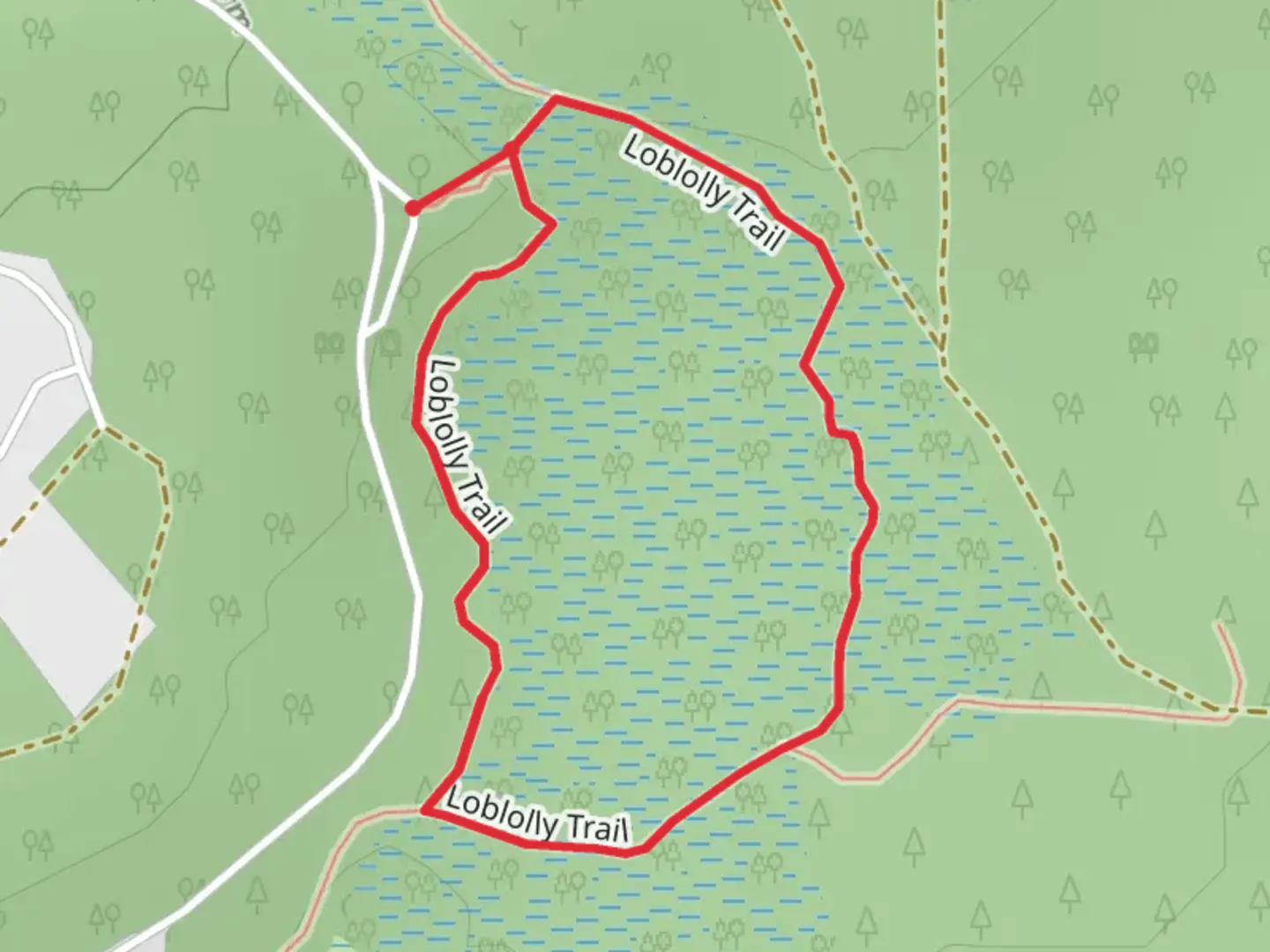 An image depicting the trail Loblolly Loop Trail and its surrounding area.