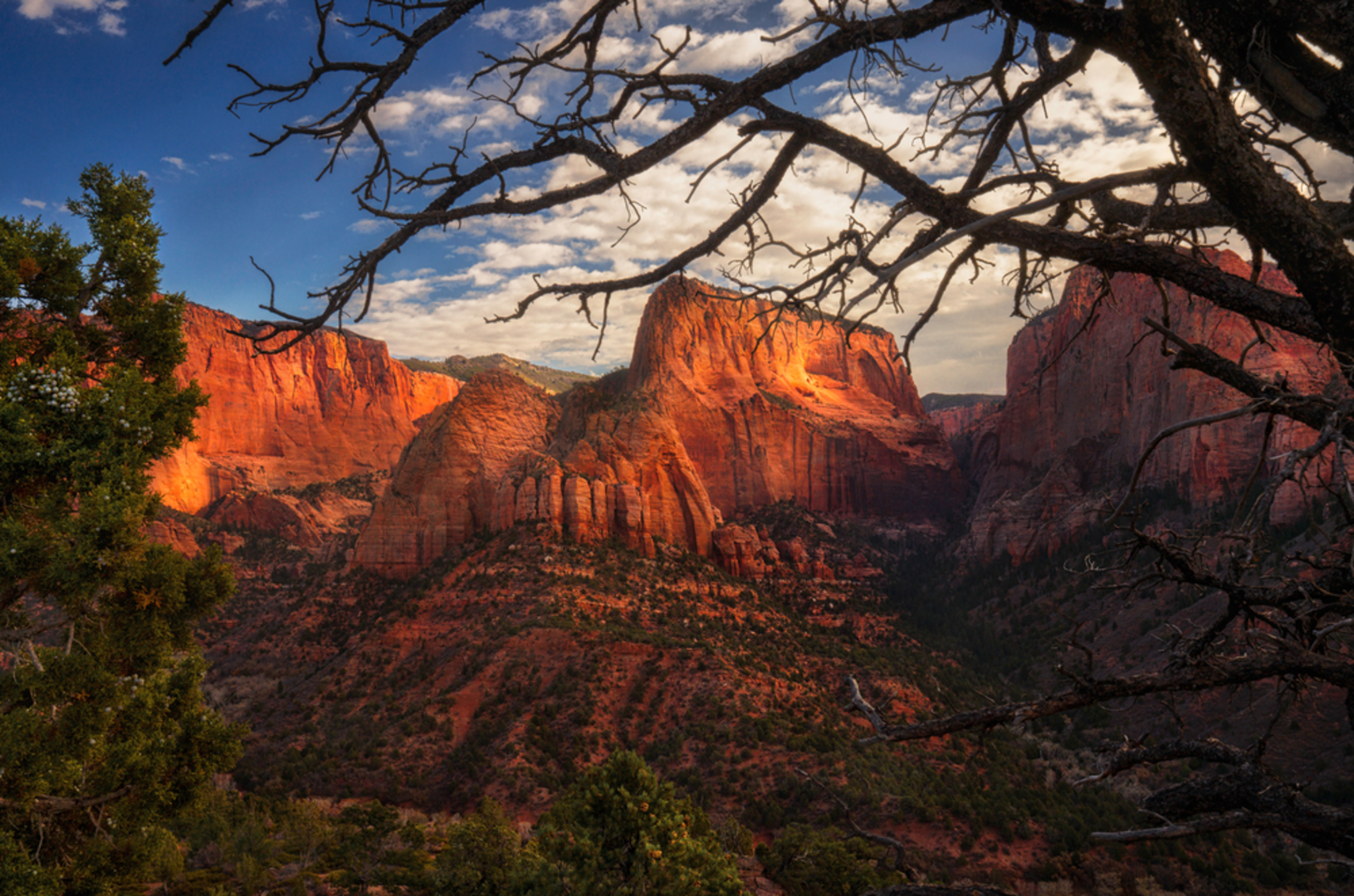 An image depicting the trail Hop Valley and Kolob Arch Trail and its surrounding area.