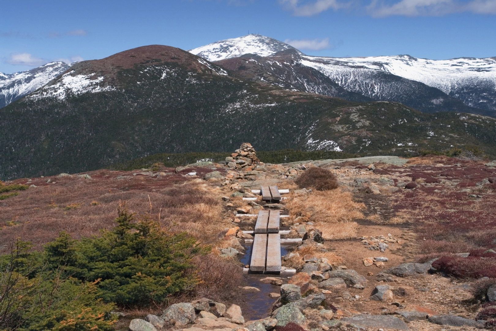 An image depicting the trail Mount Jackson and Mount Webster Loop Trail and its surrounding area.