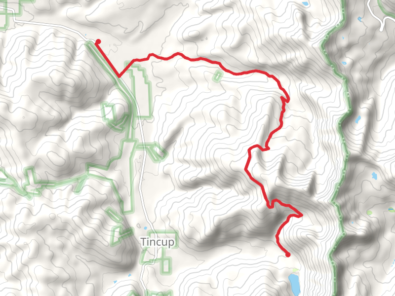 Collegiate West - Timberline Trail