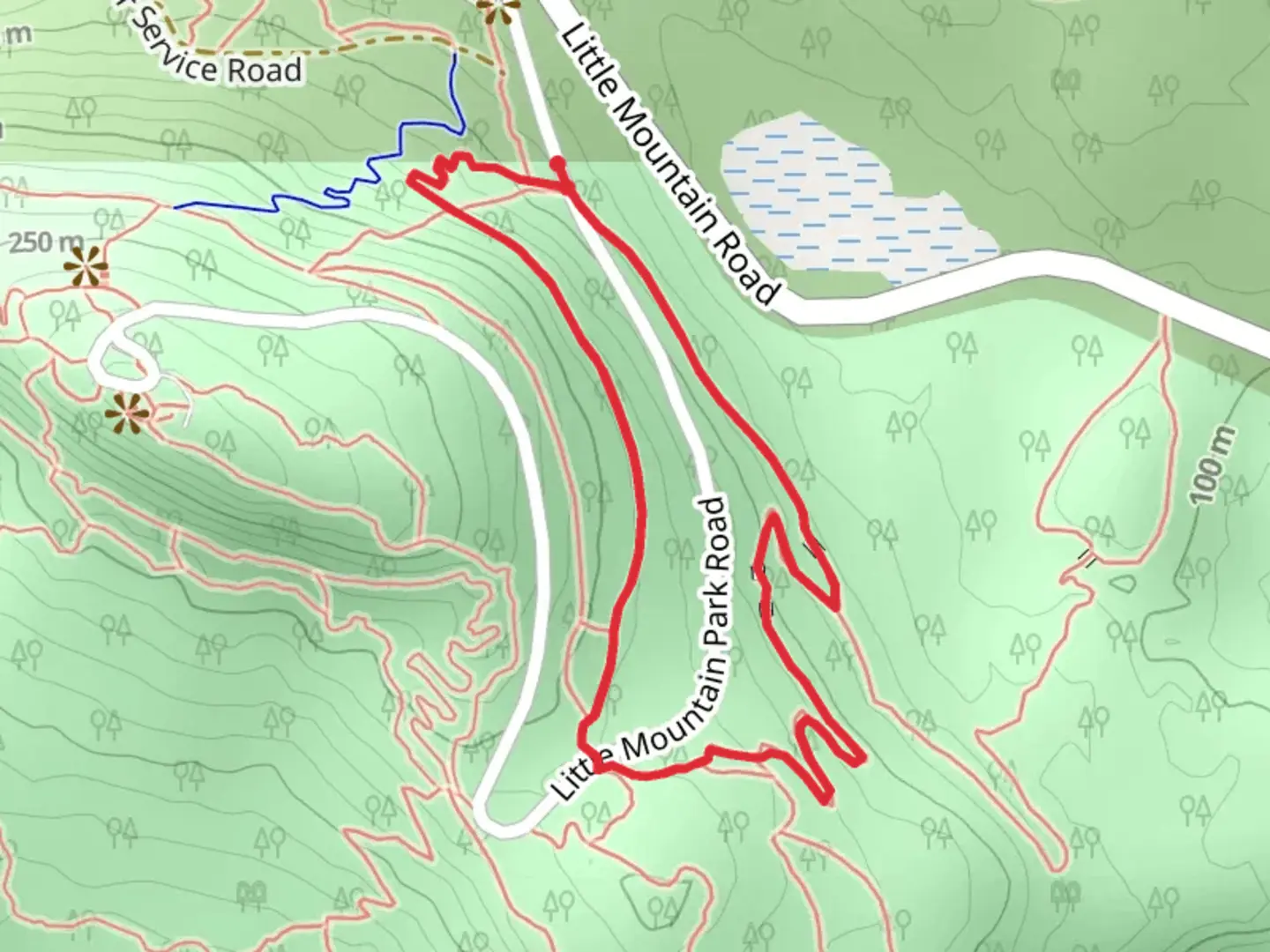 An image depicting the trail La-Z-Boy and Rooty Loop and its surrounding area.