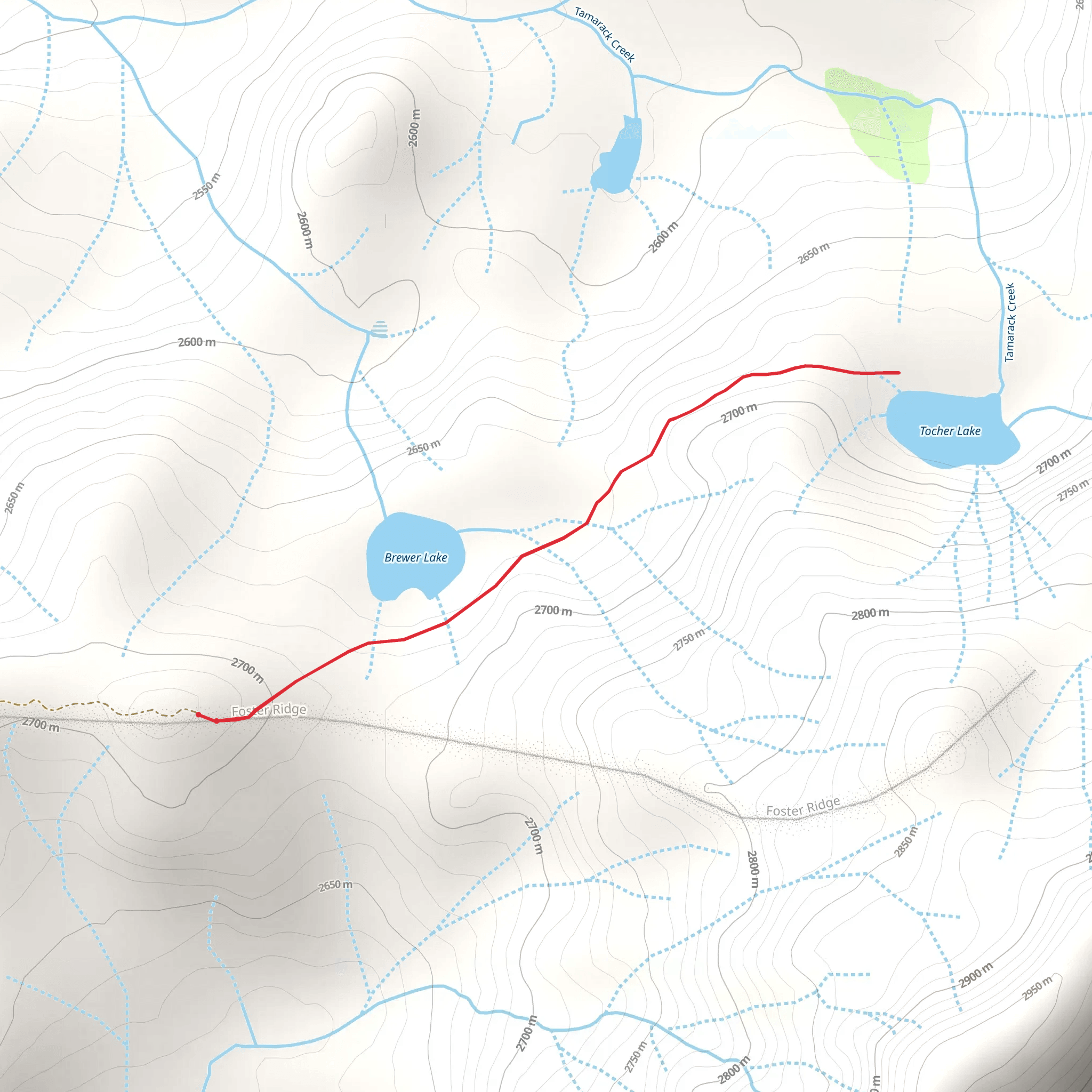 Brewer Lake and Tocher Lake Trail mobile static map