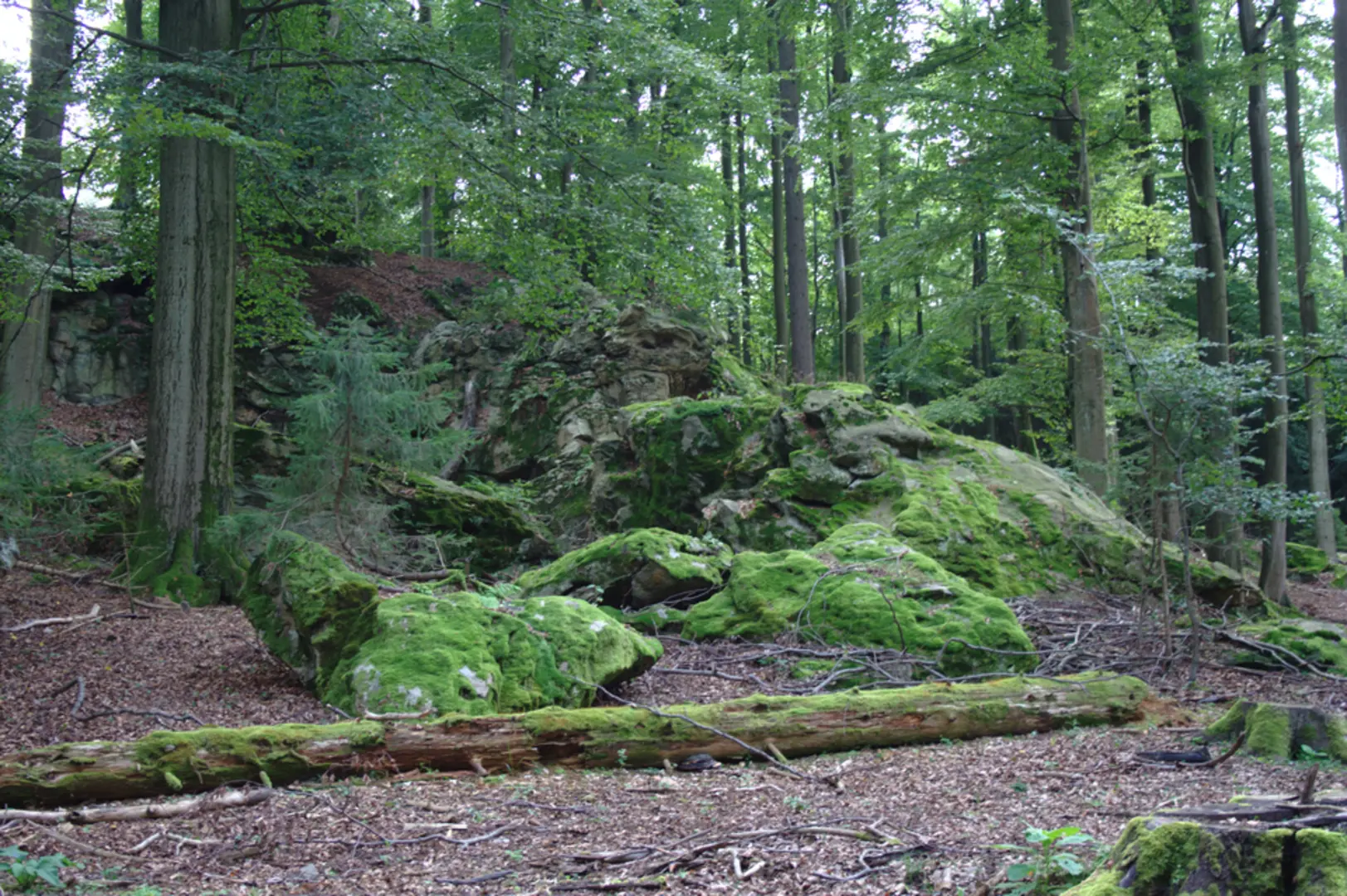 An image depicting the trail Gattenbach and Waechtersbach and its surrounding area.