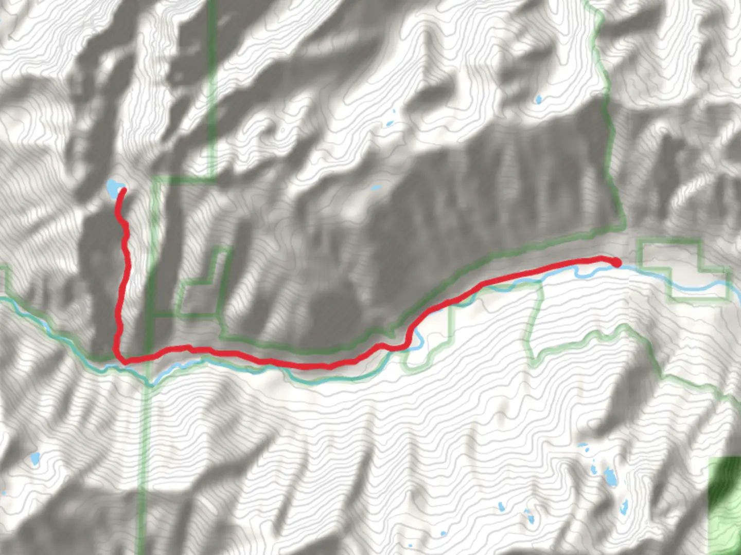 An image depicting the trail Lake Constance via Dosewallips Road and its surrounding area.