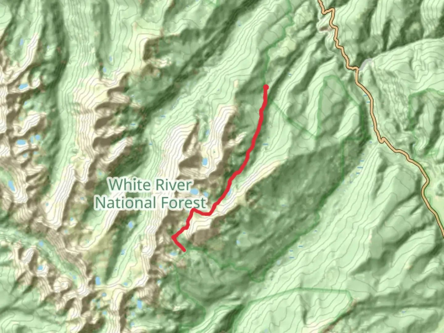 An image depicting the trail Hunky Dory Lake via Fall Creek Trail and its surrounding area.
