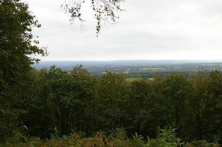 Godstone, Old Oxted and Bletchingley Loop