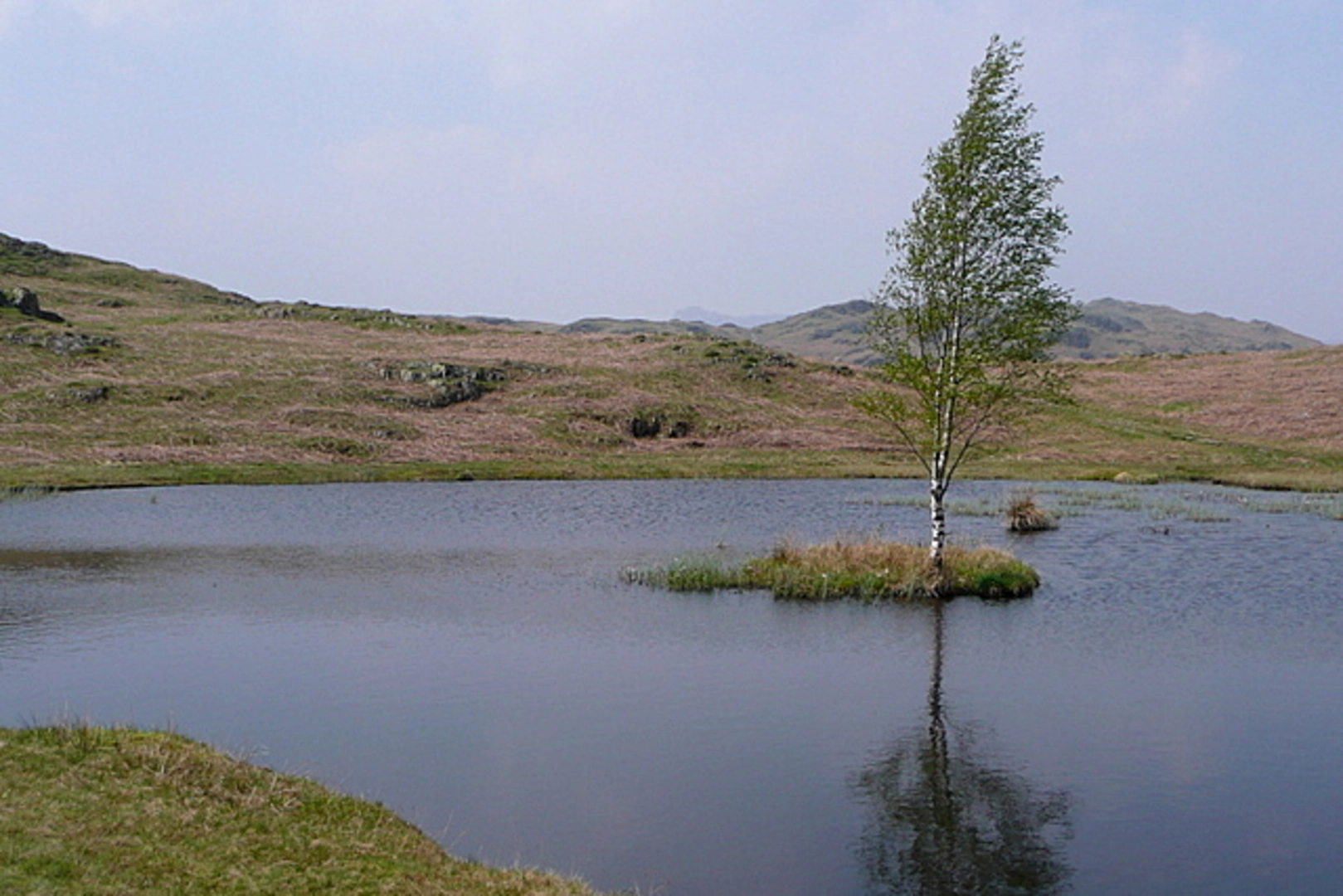 An image depicting the trail Lily Tarn, Rothay Park and Rydal Water Loop and its surrounding area.