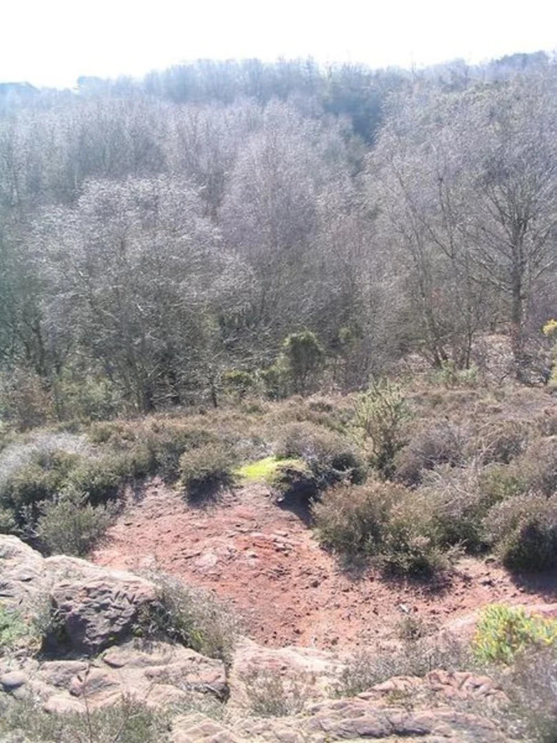 An image depicting the trail Heswall Dales and its surrounding area.