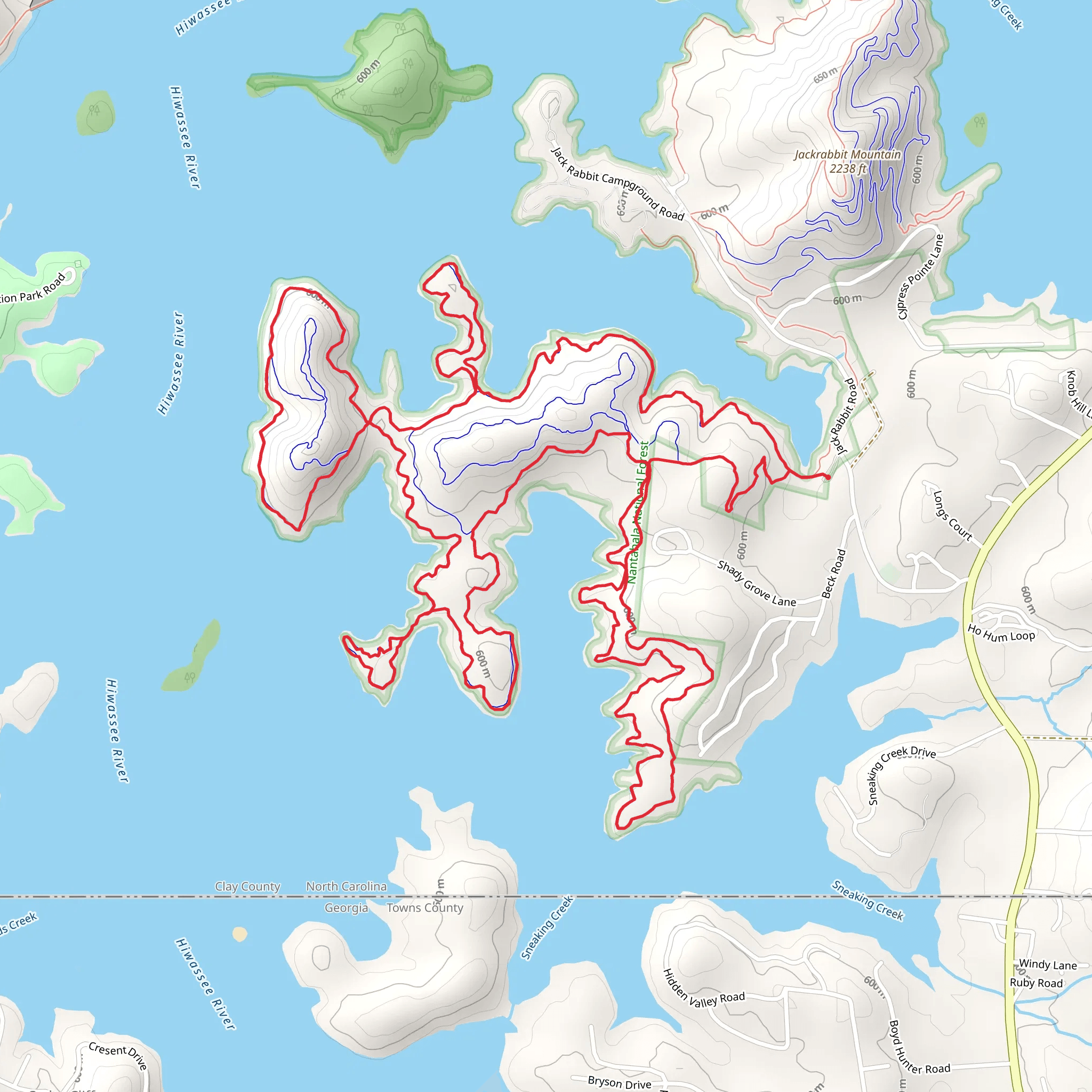 Central, Yotee's Run and Sneaking Creek Loop Trail mobile static map