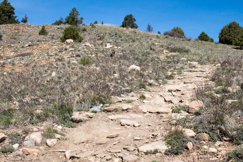 An image depicting the trail Smelter Mountain and its surrounding area.