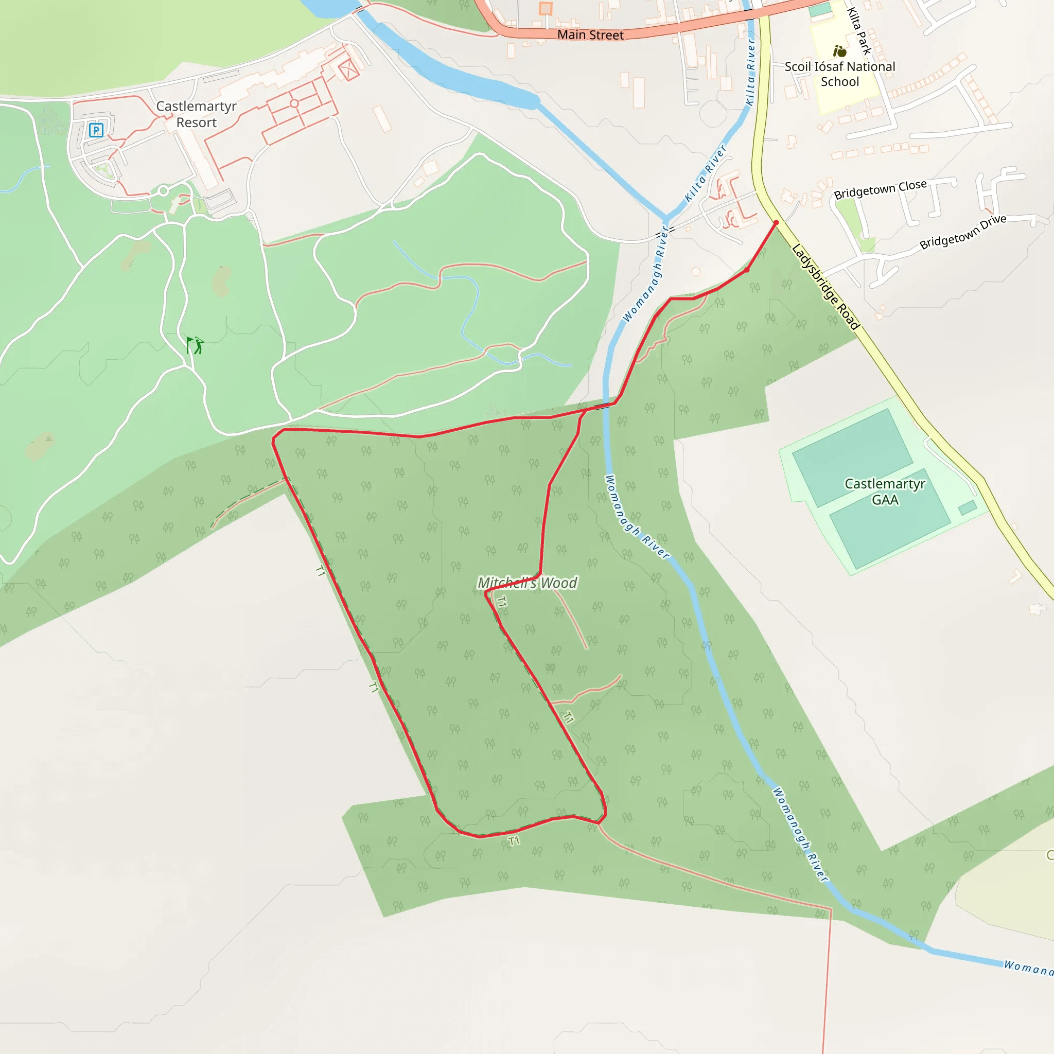Castlemartyr - Mitchell's Wood Loop mobile static map
