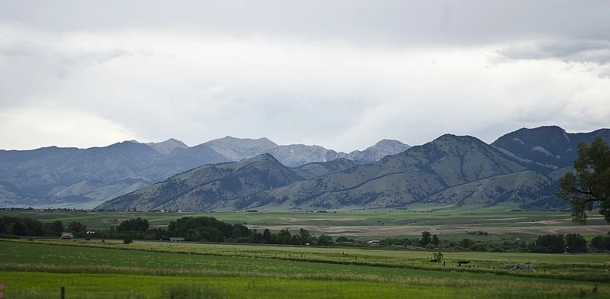 An image depicting the trail Truman Gulch Trail and its surrounding area.