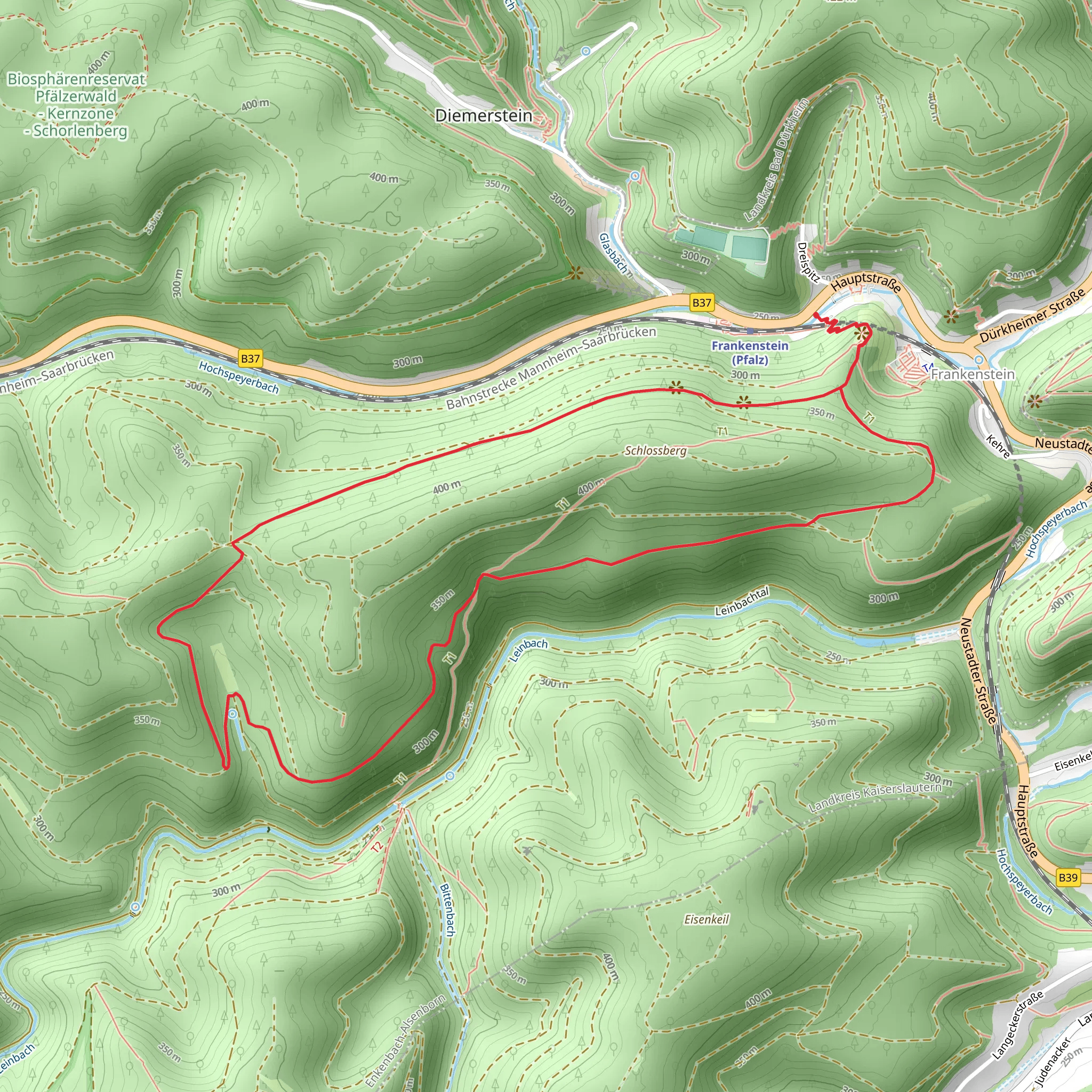 Alte Straße, Saufelsen and Schloßberg Loop via Frankenstein mobile static map