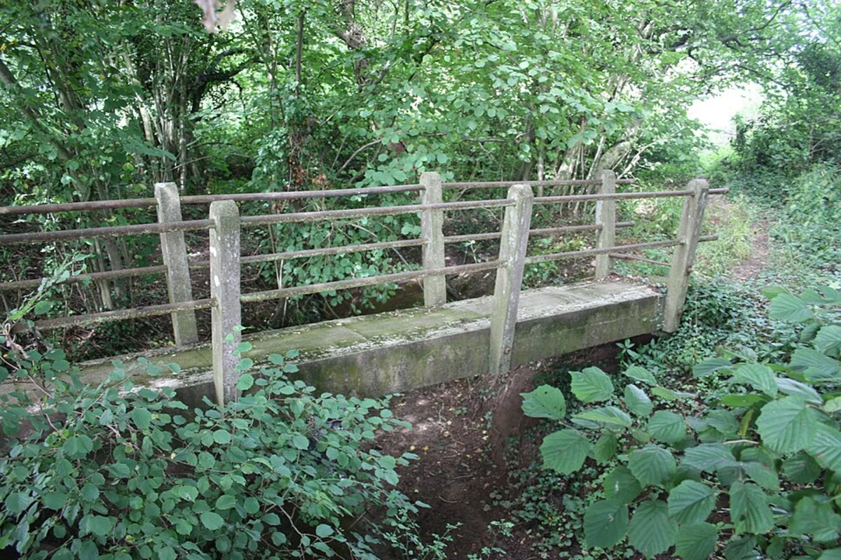 Starvale Woods, Wokefield Common and Stratfield Mortimer Country Park Loop