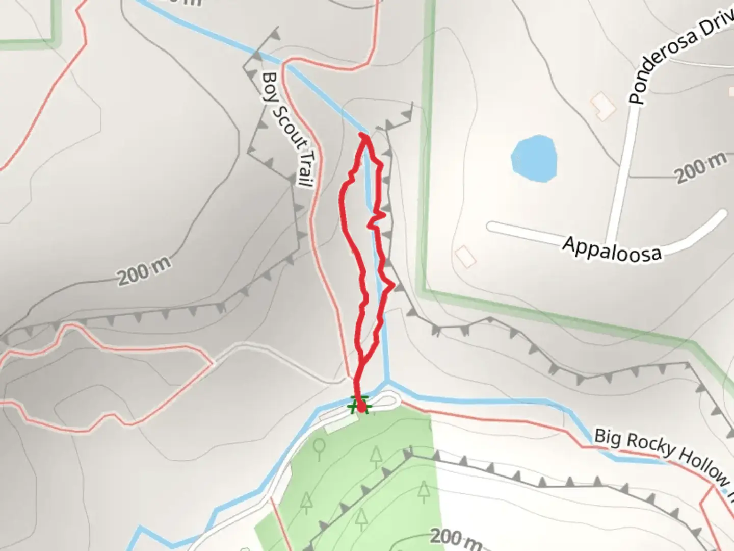 An image depicting the trail Rebman's Loop Trail and its surrounding area.