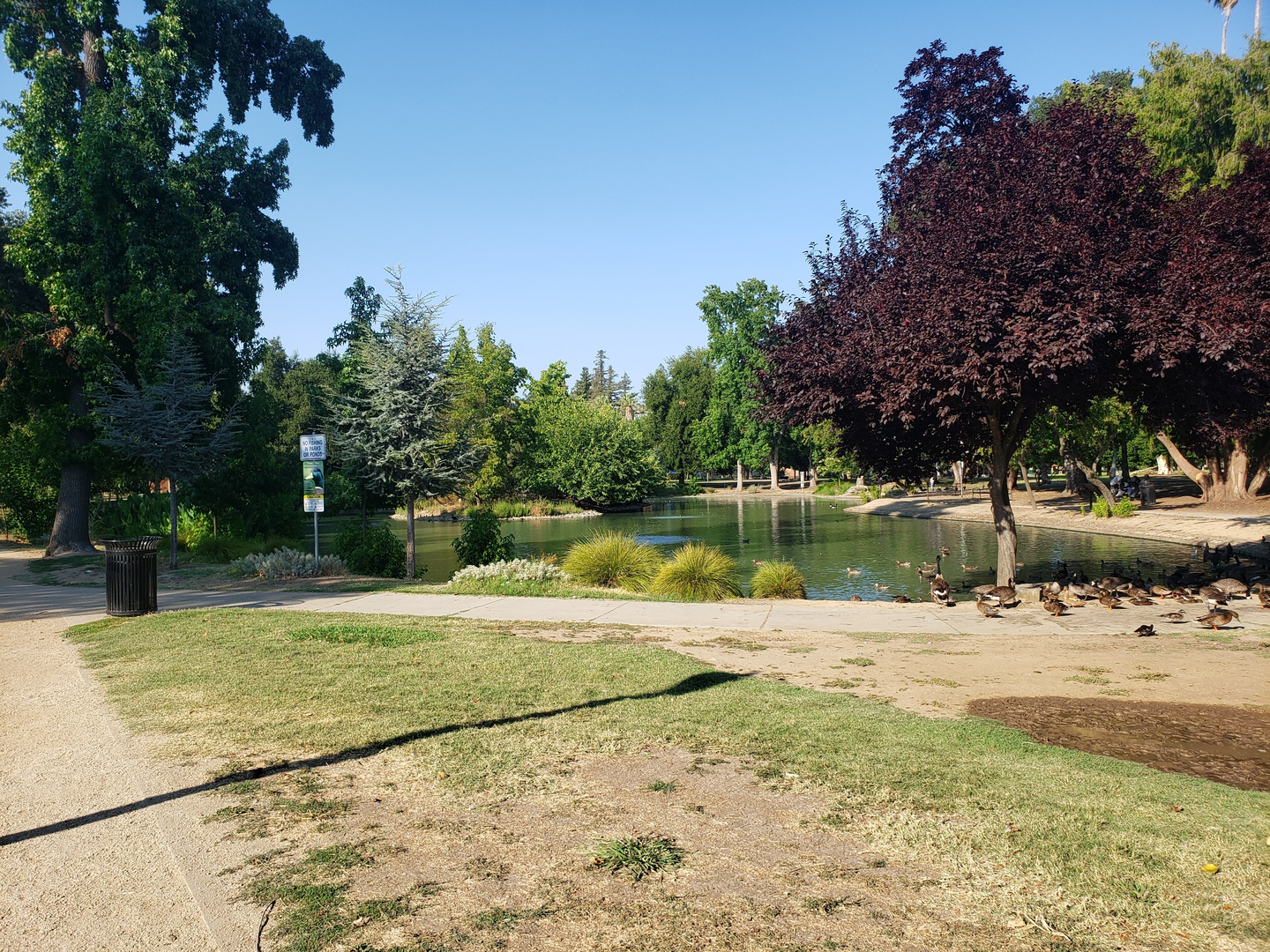 An image depicting the trail McKinley Park Loop and its surrounding area.