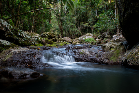 An image depicting the trail Baxter Falls and its surrounding area.