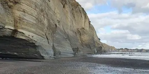 An image depicting the trail Whitecliffs Walkway and its surrounding area.