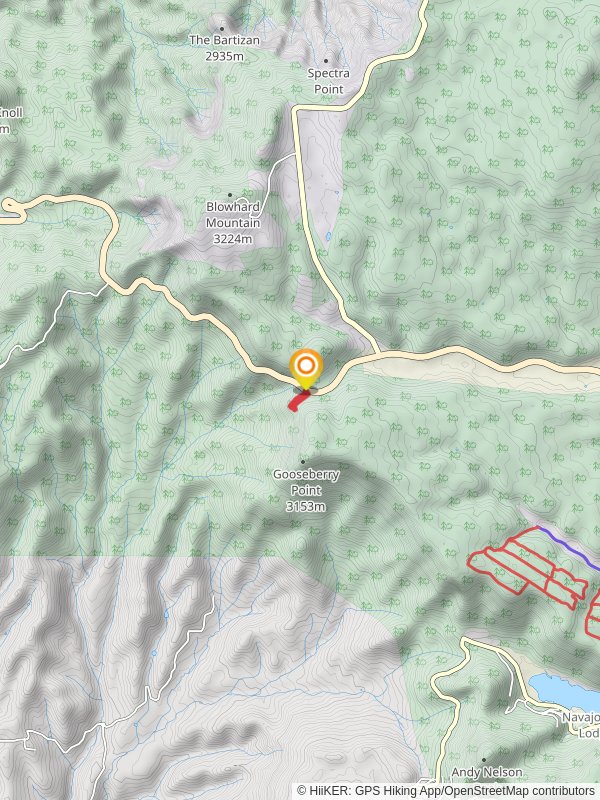 Bristlecone Pine Loop Trail