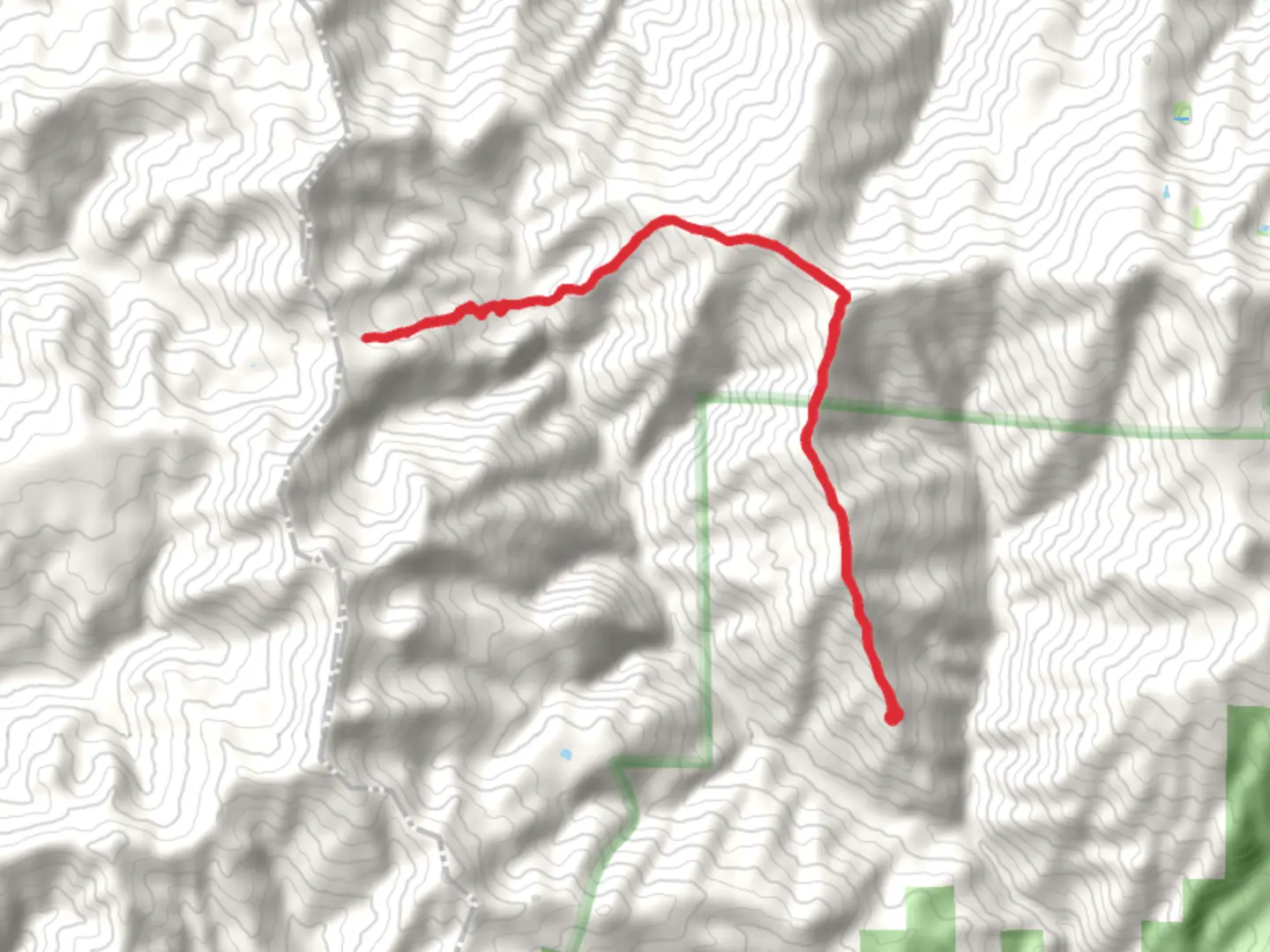 An image depicting the trail Kingsley Lake via Thomas Pocket Trail and its surrounding area.