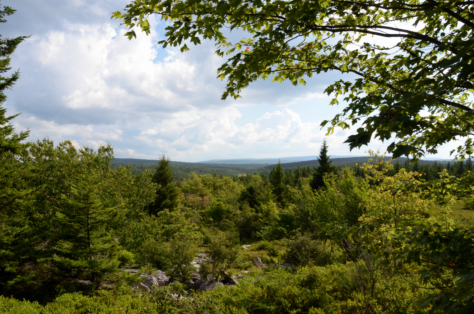 An image depicting the trail Mid State Trail - Pennsylvania and its surrounding area.