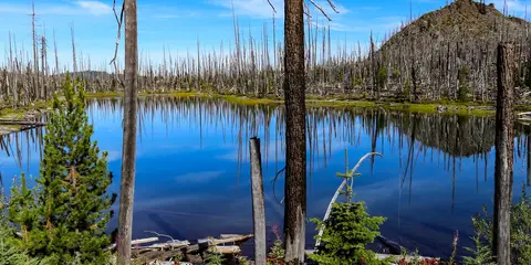 An image depicting the trail Waldo Lake Loop and its surrounding area.